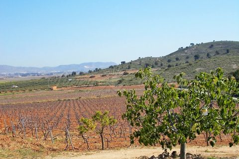 Farm hus i Yecla, Murcia, Yecla - € 410.000 | Ref: SF0064 - foto 2